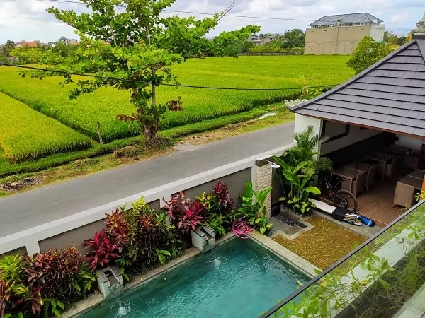 pool and ricefield view bali