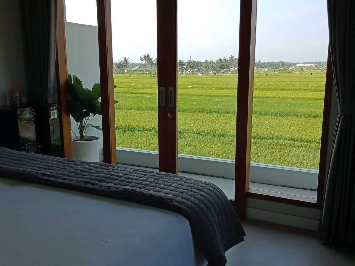 bedroom with ricefield view