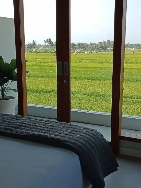 room with ricefield view