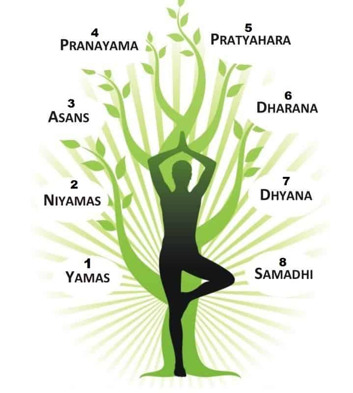 the eight limbs of yoga